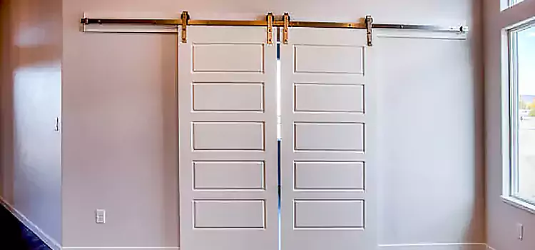 Glass Barn Door with Installation Hardware Kit LaGrange