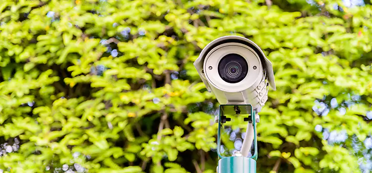 Advanced Surveillance Solutions for Every Need in LaGrange