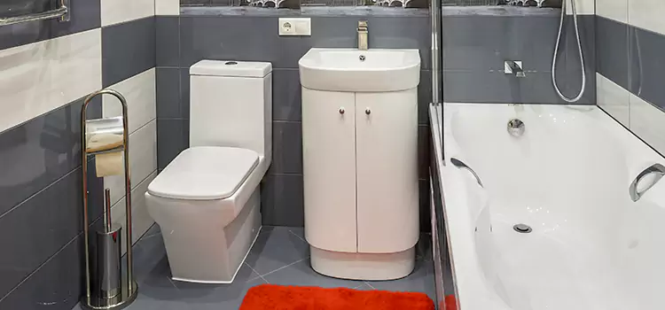 Hansgrohe Shaving Mirror LaGrange