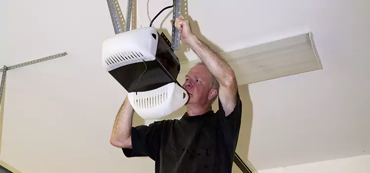 Garage Door Opener Service LaGrange